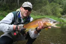 User submitted picture: Dizzyg with a pretty Brow...