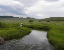 User submitted picture: Stalking cutthroats