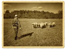 User submitted picture: Lithuanian shepherd :)