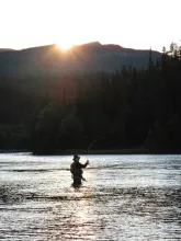 User submitted picture: Sweden 2010 by www.guidep...