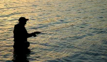 User submitted picture: NIkon D50,lens Sigma 28-7...