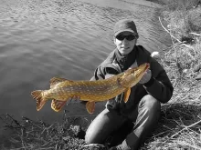 User submitted picture: First pike from VÃ¡h river...