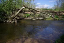 User submitted picture: Good place for big trout