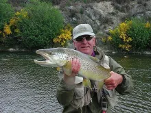 User submitted picture: NZ Guide Steve Carey spec...