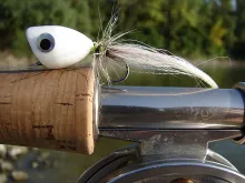 User submitted picture: Popper in My Rod