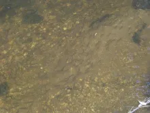 User submitted picture: Just the type of thing to...