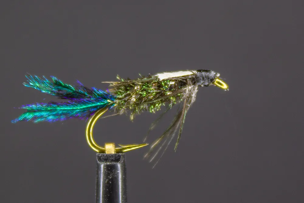 User submitted picture: ZugBug