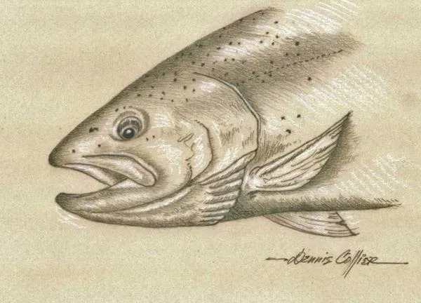 User submitted picture: "Winter Chrome" is a gr...