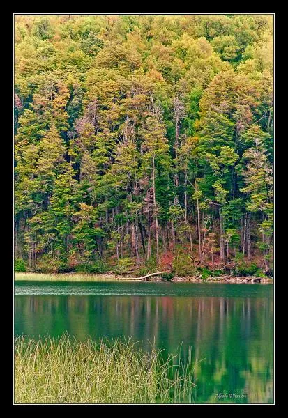 User submitted picture: Lake Nonthue,San MartÃ­n d...