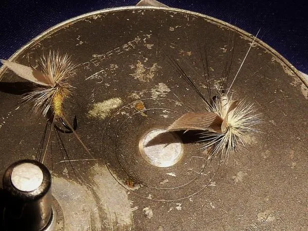 User submitted picture: 2 Feather winged Parachut...