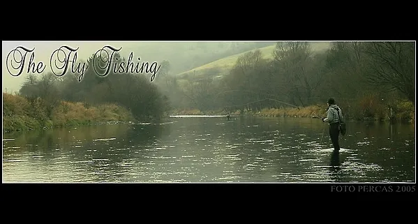 User submitted picture: My friend Daniel, Autumn ...