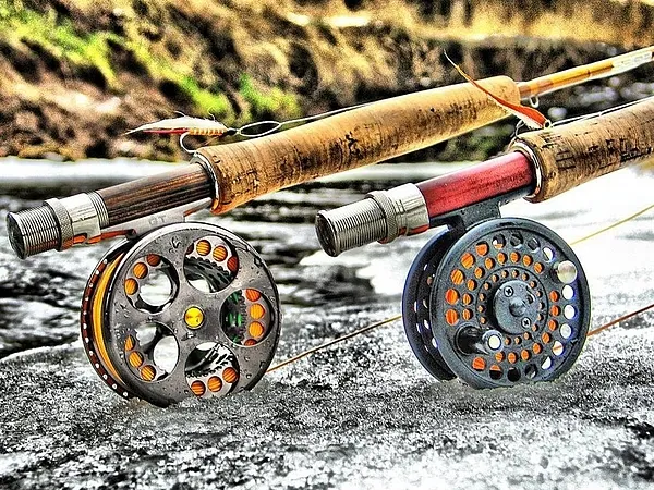 User submitted picture: Twins